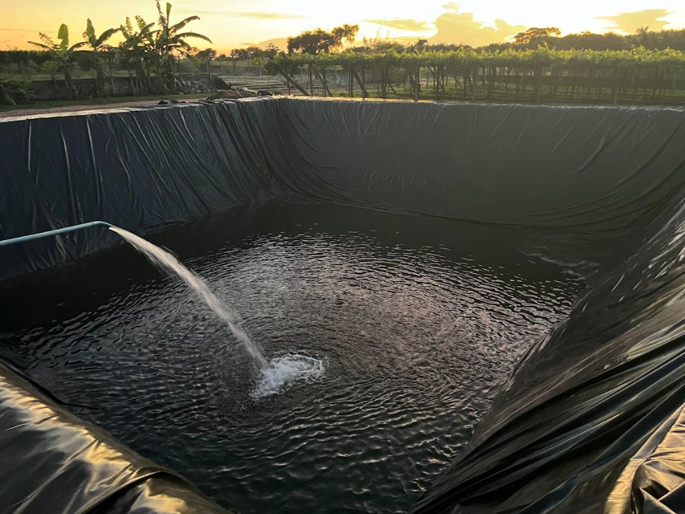 Casa da 7Evas - Natal RN 2.JPG