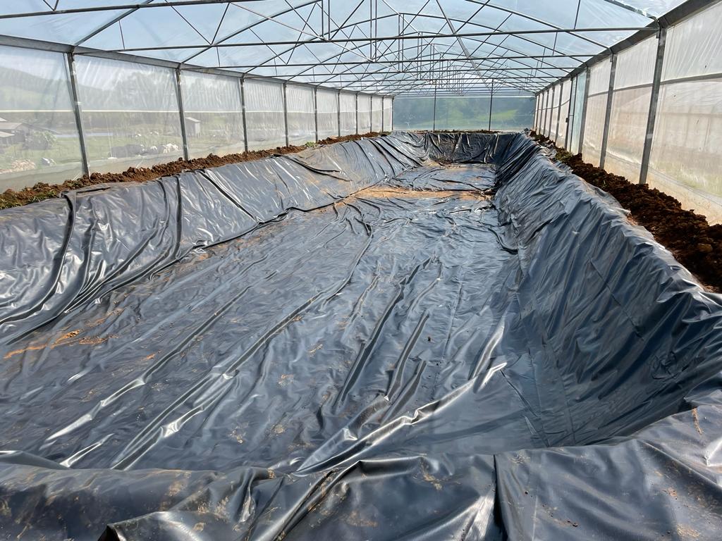 Tanque Escavado 7.jpeg