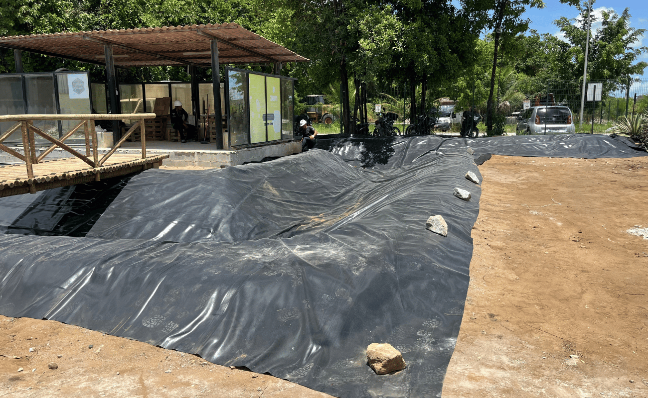 Lago Ornamental 7.png