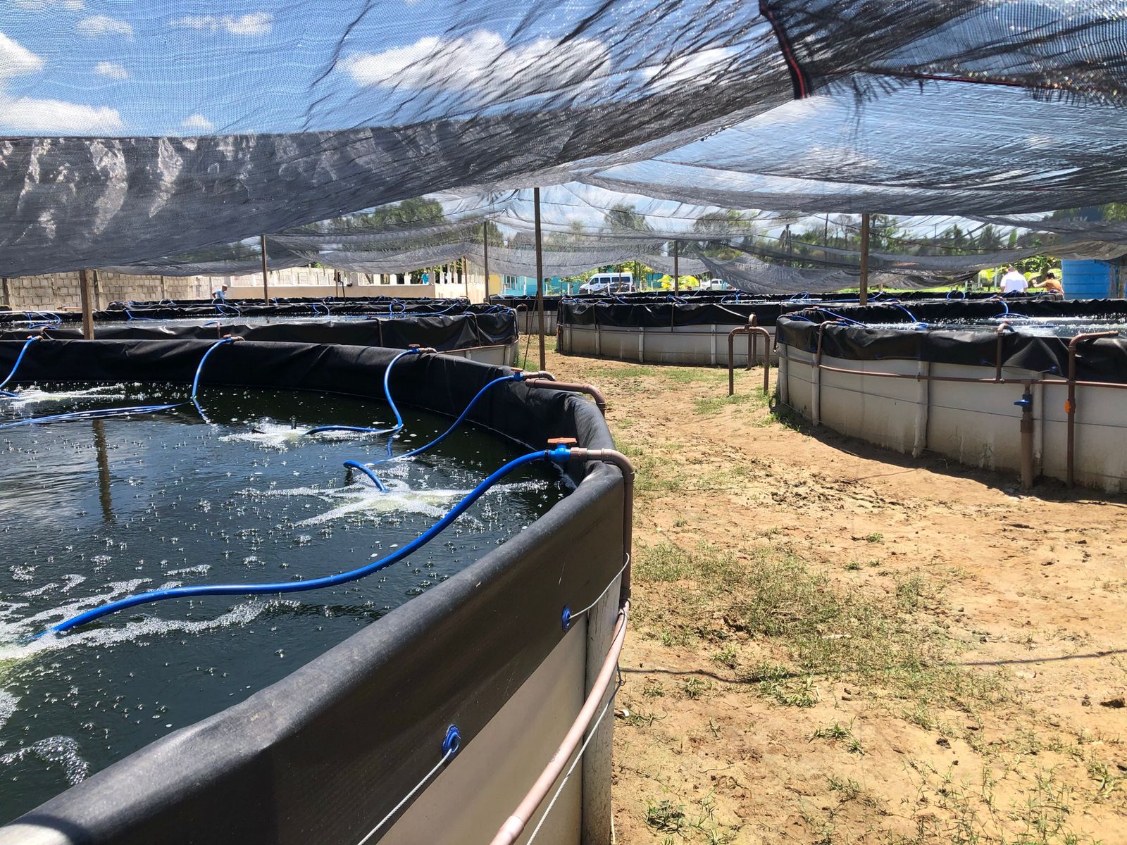 Tanque Circular Elevado 4.jpg