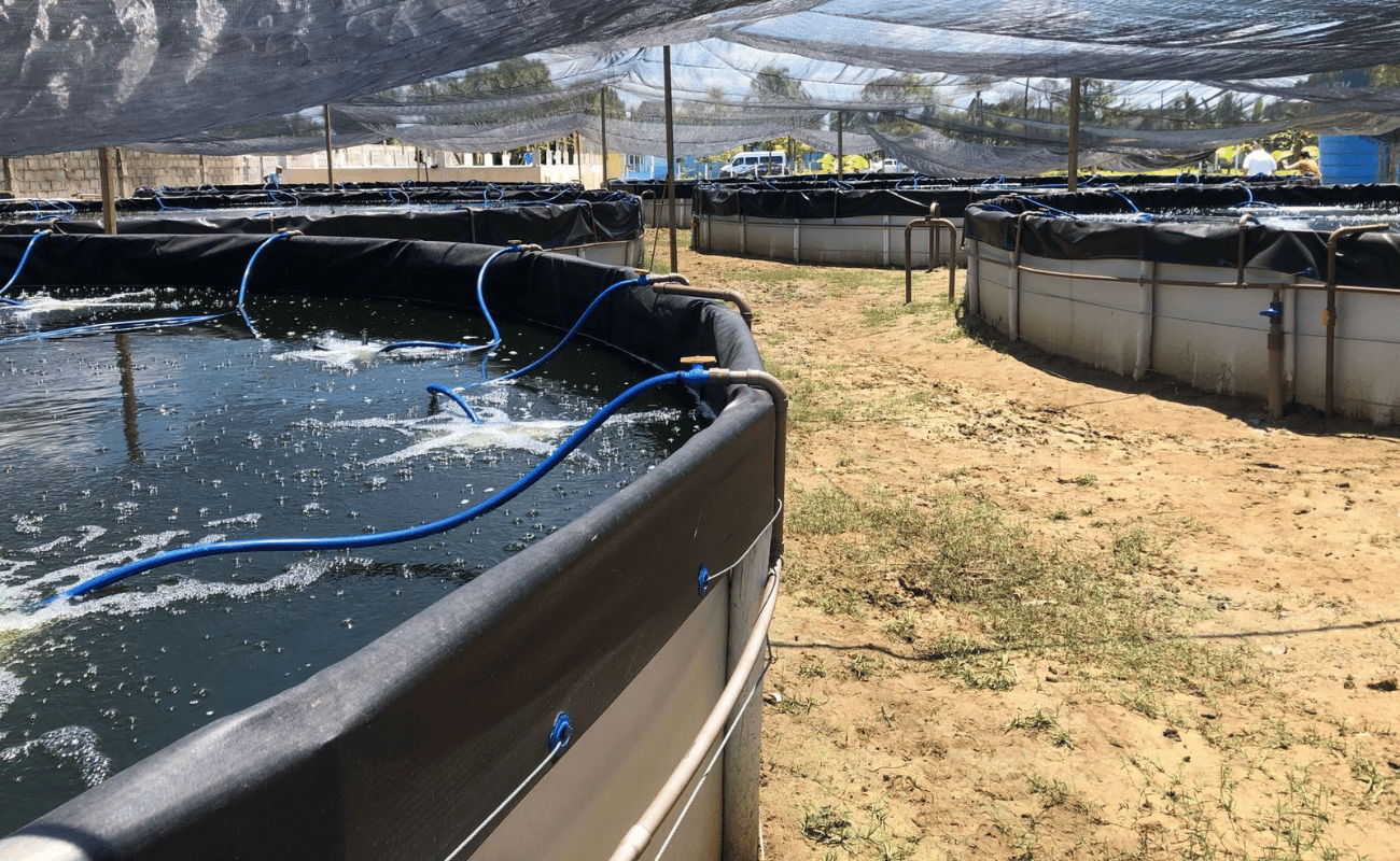 Tanque Elevado 4.png