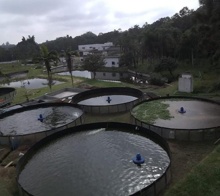 Tanque Circular Elevado 5.jpeg